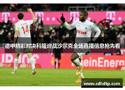 德甲精彩对决科隆迎战沙尔克全场直播信息抢先看